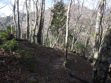 20200110hike (111)